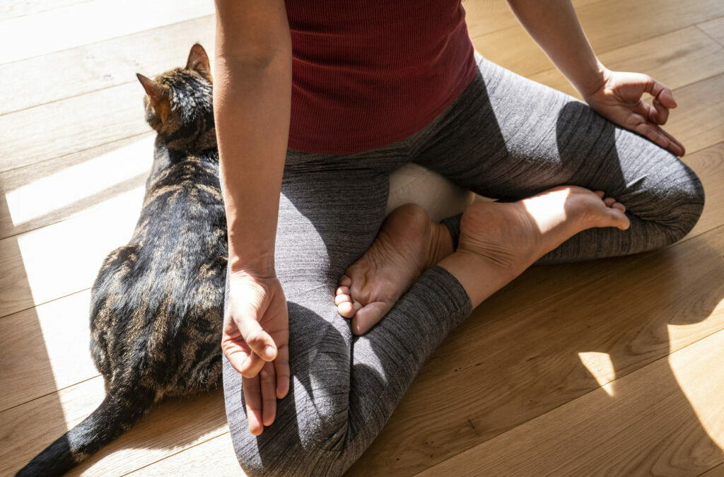 Relájate haciendo yoga con tu gato
